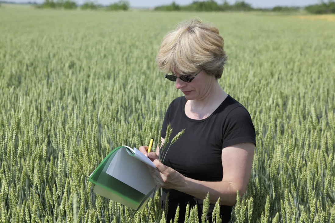 Field inspection representing environmental management
