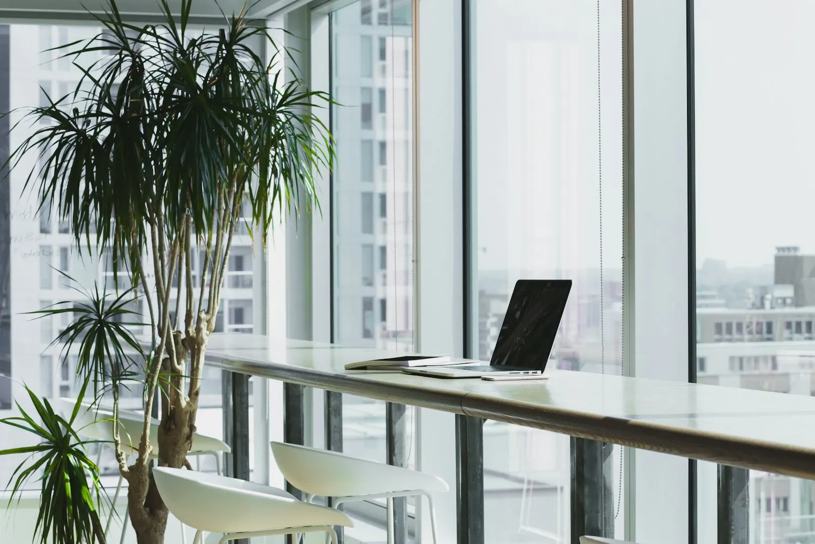 Bright modern office interior